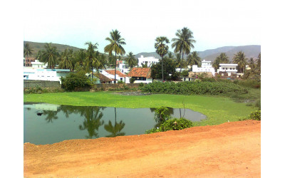 Suryaraopeta