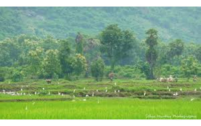 Palakonda