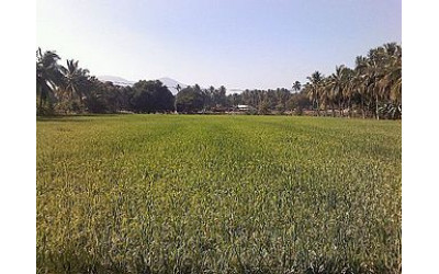 Yethapur