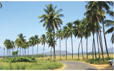 Chinnamanur