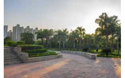 Nehru nagar
