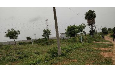 Pratap Singaram