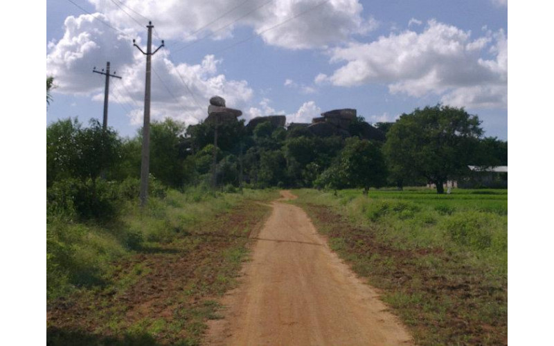 Ravalkole