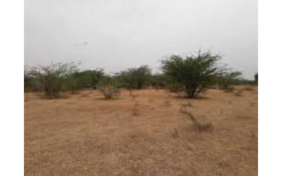 Rajapur