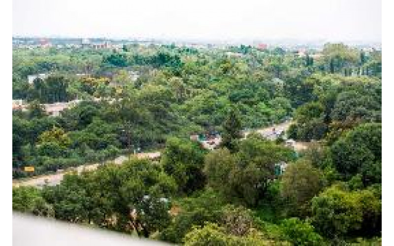 Bowenpally