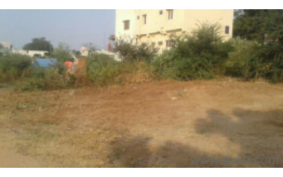 Peerzadiguda